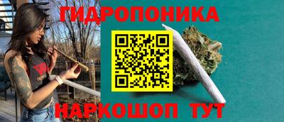 jwh Ставрополь