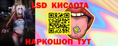jwh Ставрополь